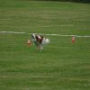 20080613_1533733590_marie-galopp