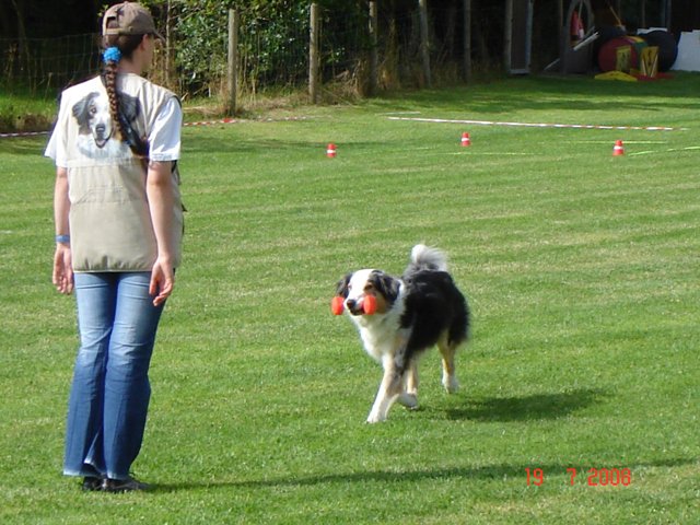 20080720_1923347703_hundeplatz020klein