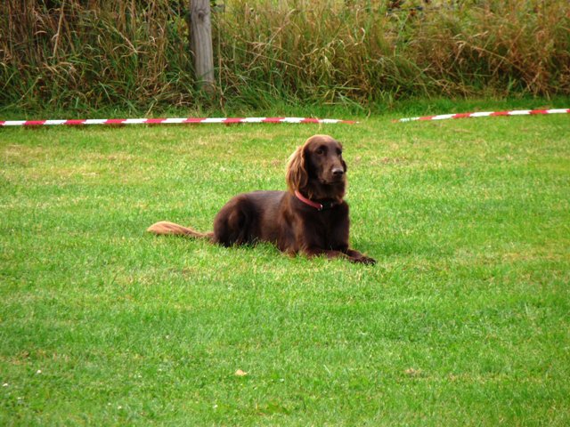 20090926_1601465320_031