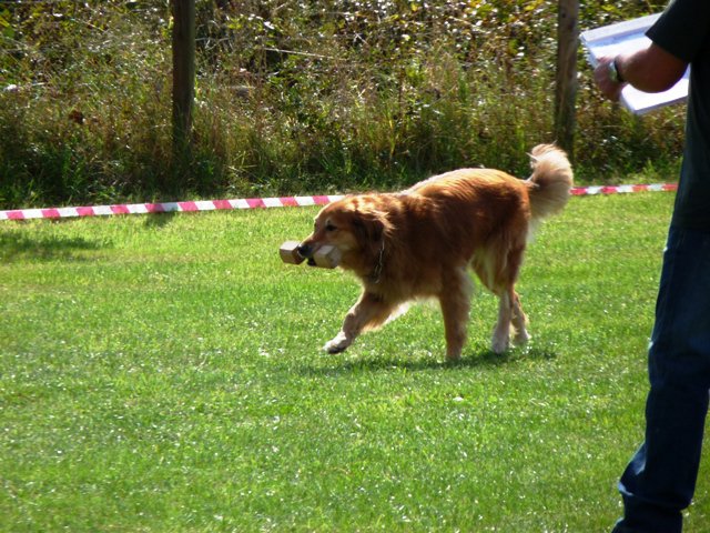 20090926_1918615539_104