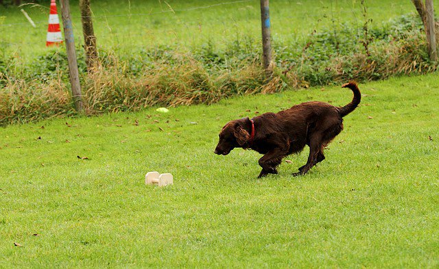 20121024_1755549912_comp_img_0533