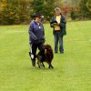 20121024_1948169518_comp_img_0500
