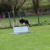 20130520_1469110783_k-comp_2img_5411