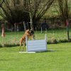 20130520_1689620693_k-comp_2img_5250