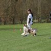 20130520_1800017932_k-comp_2img_5284