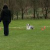 20130520_1929448160_k-comp_2img_5495