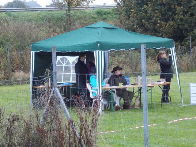20131021_1095693305_k-hundeplatz_045