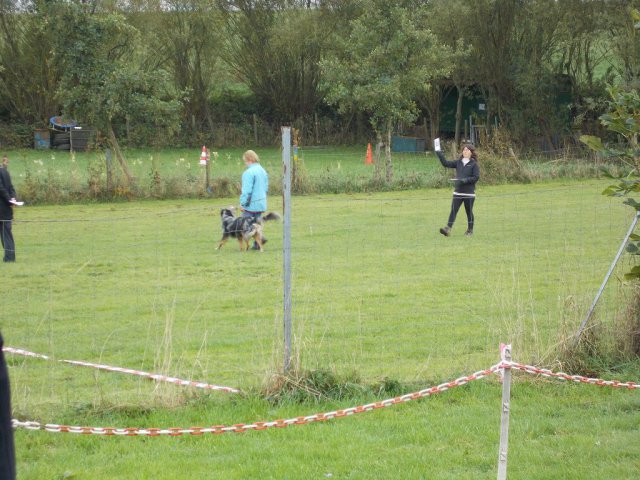 20131021_1246305358_k-hundeplatz_058