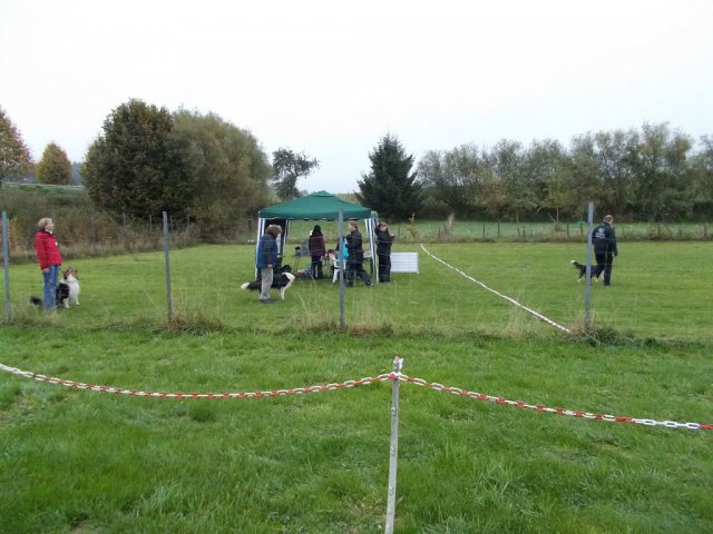 20131021_1384245730_k-hundeplatz_040