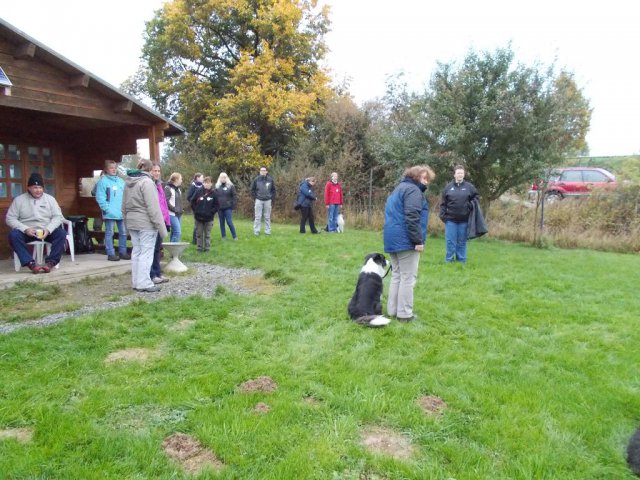 20131021_1700436045_k-hundeplatz_039