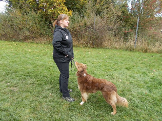 20131021_1836685458_k-hundeplatz_059