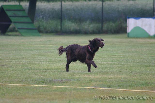 20090702_1040471978_obi-lm09-078