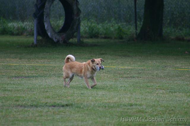 20090702_1358339804_obi-lm09-285