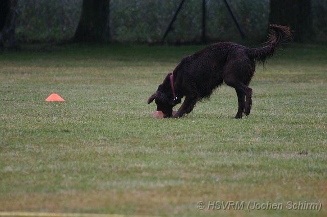 20090702_1360189637_obi-lm09-082