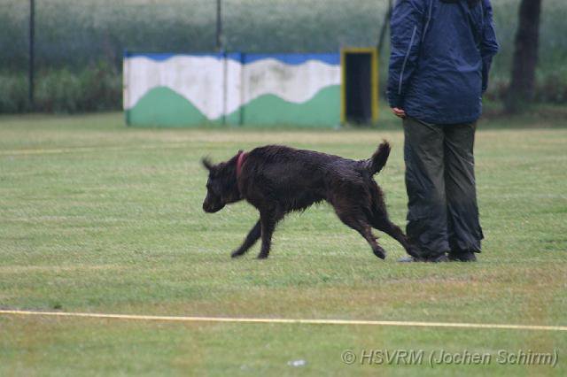 20090702_1702766617_obi-lm09-079