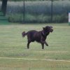 20090702_1040471978_obi-lm09-078