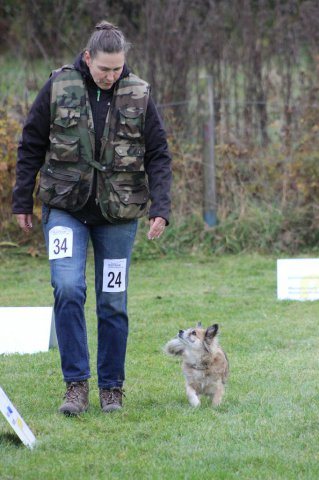 20151024_2013016411_k-img_5962