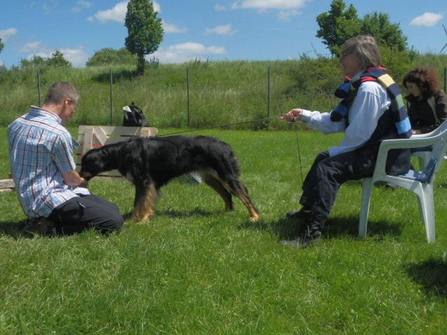 20120824_1204479443_bild8