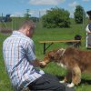 20120824_1479075829_bild10