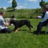 20120824_1634726179_bild7