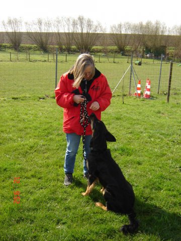 20080414_1308420562_hexe_brav_sitz