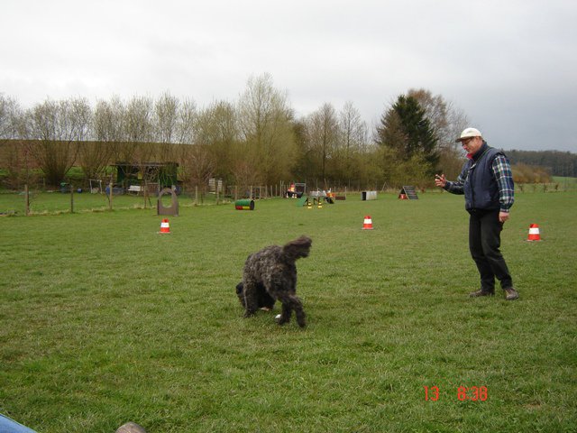 20080414_1773441248_lucy_such