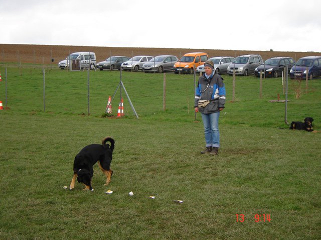 20080414_1828103310_flo_sucht