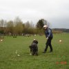 20080414_1562527517_lucy_such2