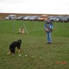 20080414_1828103310_flo_sucht
