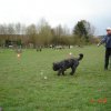 20100422_1081316743_gleich_klickts