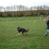 20100422_1152950944_hexe_gut_gemacht