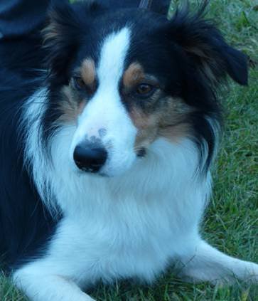 20110116_1625228570_cooper