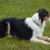 20110116_1482635112_cooper3