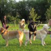 20080324_1430182336_artistengruppe_bearbeitet