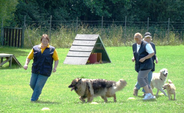 20090713_1362196718_sommerfest_2009_385
