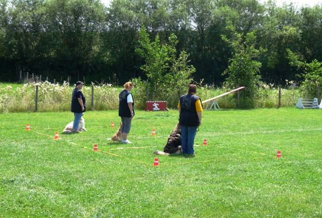 20090713_2048283539_sommerfest_2009_378