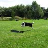 20090713_1194746928_sommerfest_2009_461