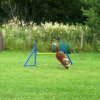 20090713_1262879714_sommerfest_2009_143