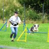 20090713_1904390207_sommerfest_2009_265