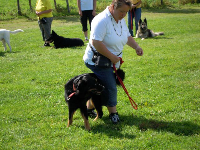20120901_1062417814_dscn0400