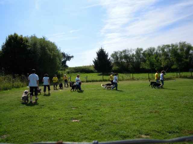 20120901_1255759580_dscn0389