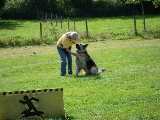 20120901_1610507763_dscn0409