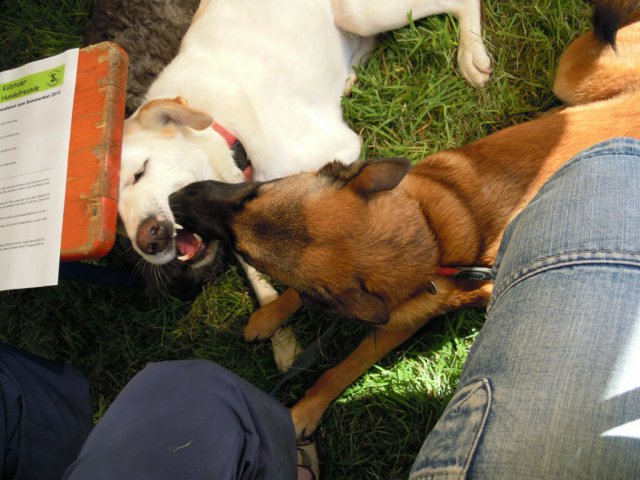 20120901_2040634816_dscn0385