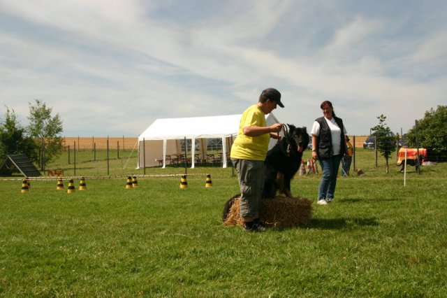 20120922_1382659585_img_7879