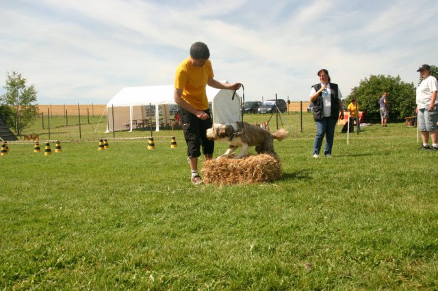 20120922_1730462311_img_7915