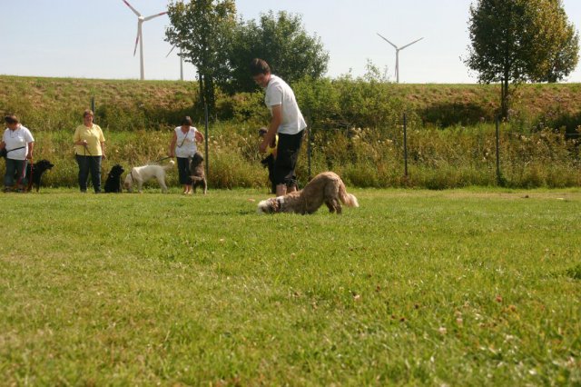 20120922_2067274174_img_7723