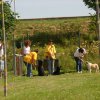 20120922_1038224469_img_7692