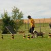 20120922_1136882977_img_7911