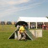 20120922_1290926366_img_7817