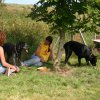 20120922_1700743978_img_8014